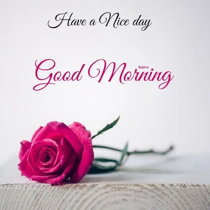 good morning image
